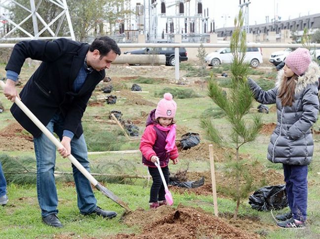 Rabitəbank əmanətləri paytaxtı yaşıllaşdırır!