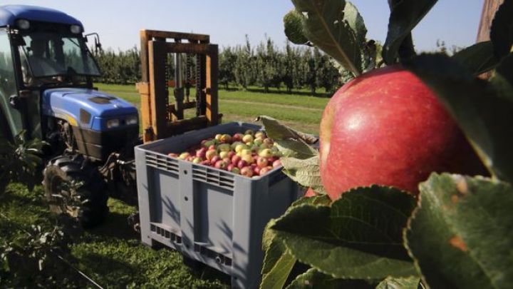 Avropa kimyəvi gübrə və pestisit istifadəsini azaldacaq