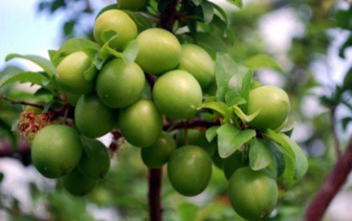 Sabahın hava proqnozu