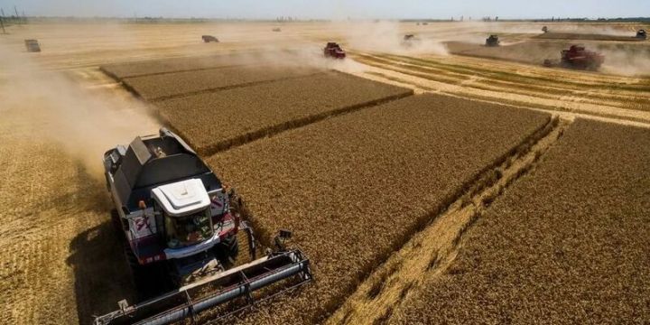 Qonşu Rusiyada buğda qiyməti son 9 ilin zirvəsində