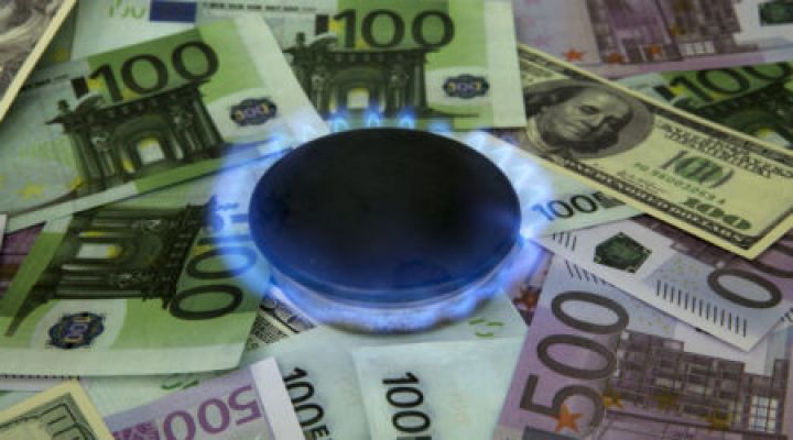 Avropada qazın qiyməti aşağı düşüb