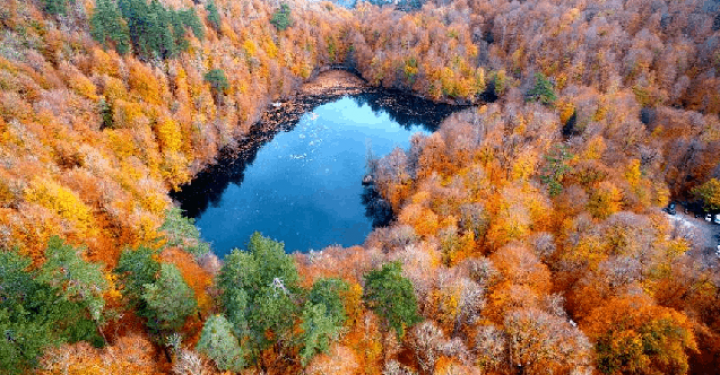 Sabahın hava proqnozu açıqlandı
