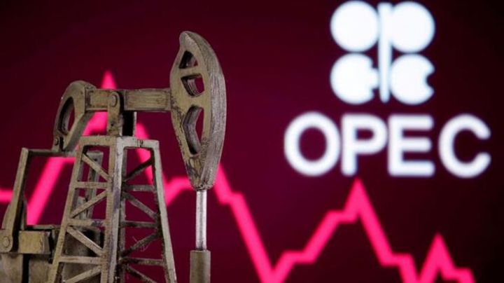 OPEC  qlobal neft tələbinin 6 milyon barel artacağını gözləyir