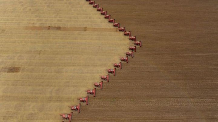 Braziliya soya əkin sahəsini artırır