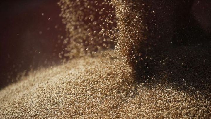 Qazaxıstan buğdaya ixrac kvotalarını uzatmağı planlaşdırır