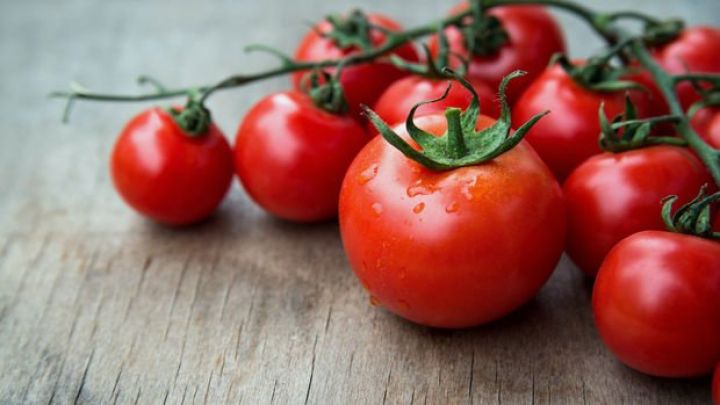 Türkiyədə pomidor ixrac etmək üçün Ticarət Nazirliyindən icazə alınacaq
