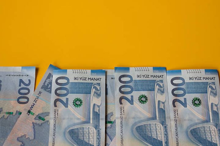 8 ayda dövlət büdcəsindən 202 milyon manatdan çox vəsait geri qaytarılıb