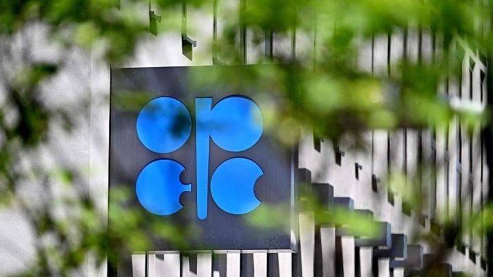 OPEC 2050-ci ilədək qlobal enerji istehlakının 23% artacağını gözləyir