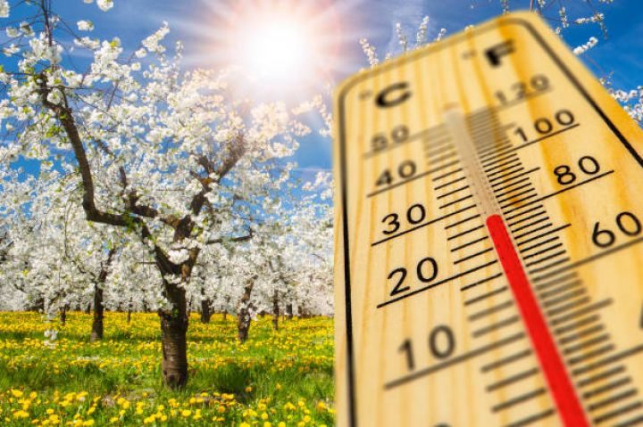 Martın 11-də gözlənilən hava şəraiti