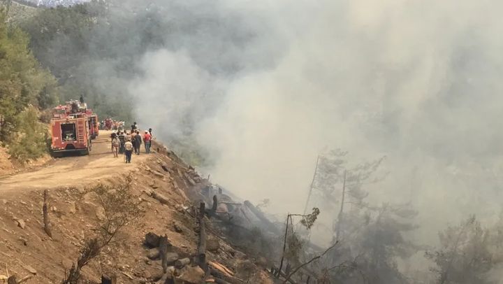 Manavgat və Gündoğmuşda yanğınlar nəzarət altına alındı