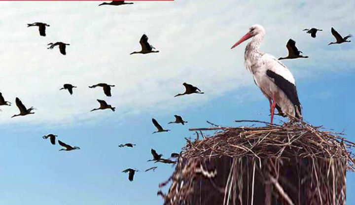 Sabahın hava proqnozu açıqlandı