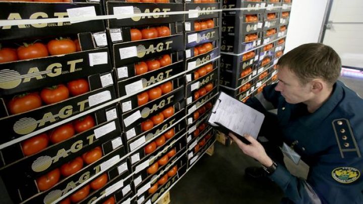 Rusiya Türkiyədən pomidor  idxalını artırır - KVOTANI YÜKSƏLTDİ