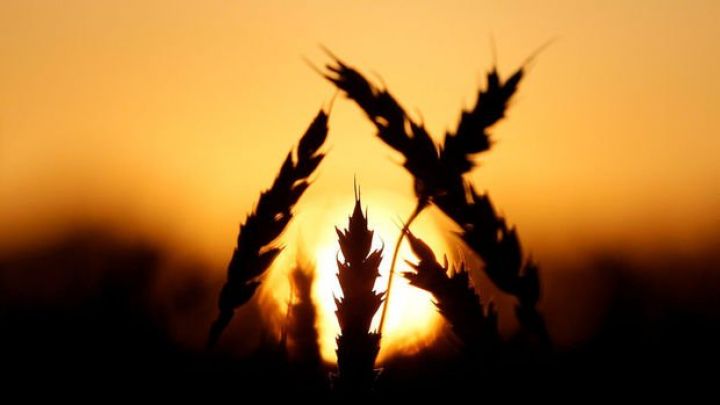 Əmtələr müharibə ilə bahalaşır - rekord ardınca rekordlar qeydə alınır