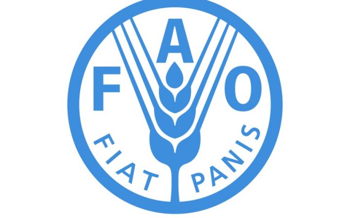 FAO: "Dünyada ərzaq qiymətləri 22 %-ə qədər arta bilər"