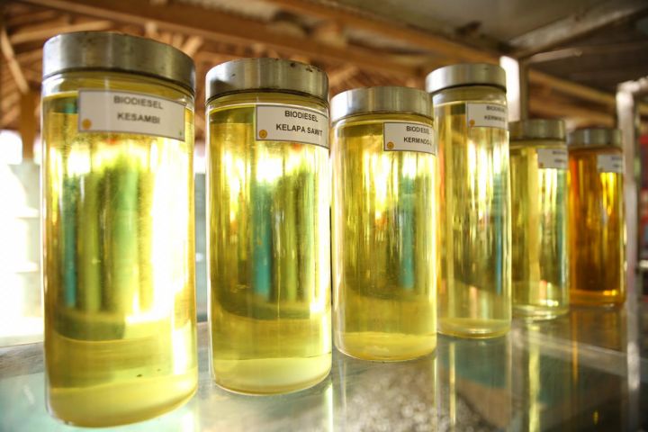 "Qərbin Rusiya neftindən imtina etməsi qlobal ərzaq böhranına səbəb ola bilər"