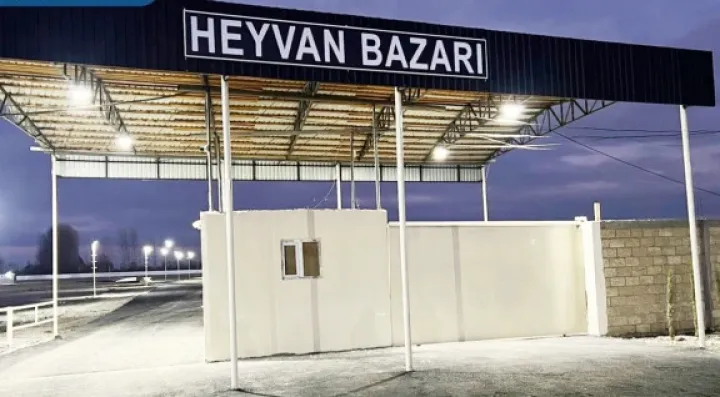 Bərdə heyvan satışı bazarı fəaliyyətini bərpa edib